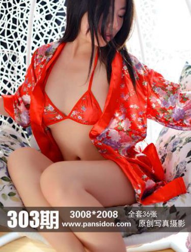 电视剧新女婿时代